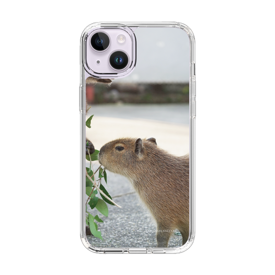 Slim Protection Case［ The Izu Animal Kingdom - Capybara ］
