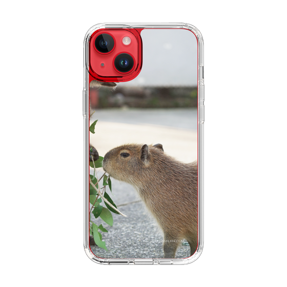 Slim Protection Case［ The Izu Animal Kingdom - Capybara ］