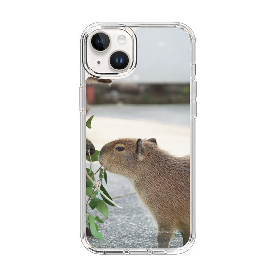 Slim Protection Case［ The Izu Animal Kingdom - Capybara ］