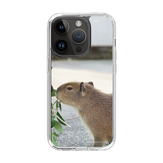 Slim Protection Case［ The Izu Animal Kingdom - Capybara ］