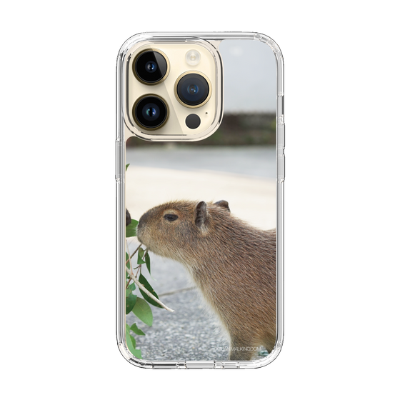 Slim Protection Case［ The Izu Animal Kingdom - Capybara ］