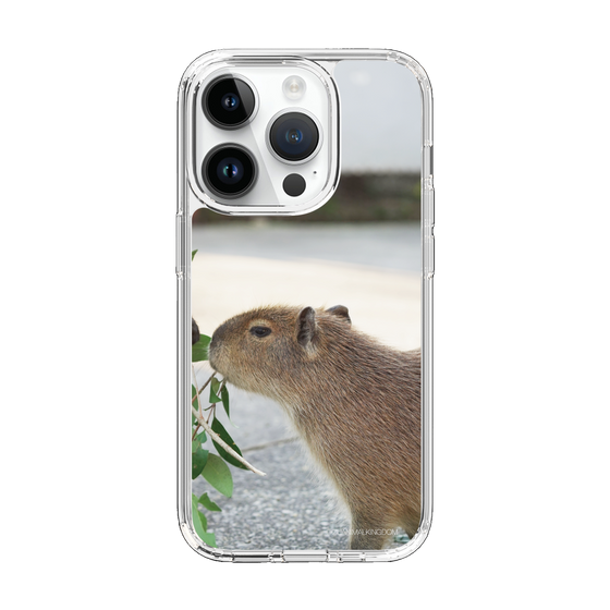 Slim Protection Case［ The Izu Animal Kingdom - Capybara ］