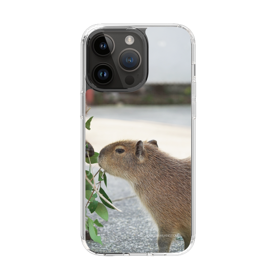 Slim Protection Case［ The Izu Animal Kingdom - Capybara ］