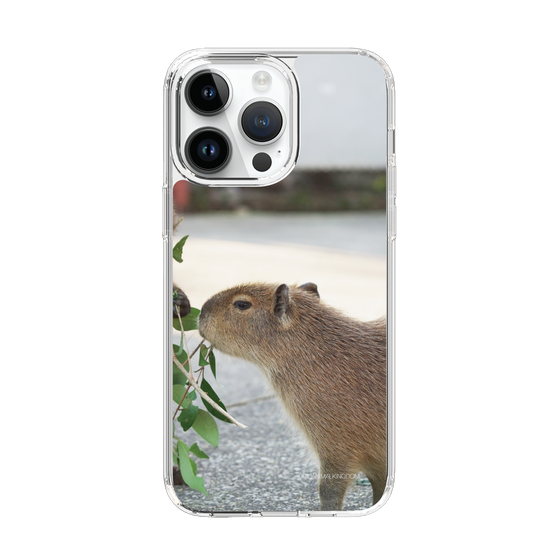 Slim Protection Case［ The Izu Animal Kingdom - Capybara ］