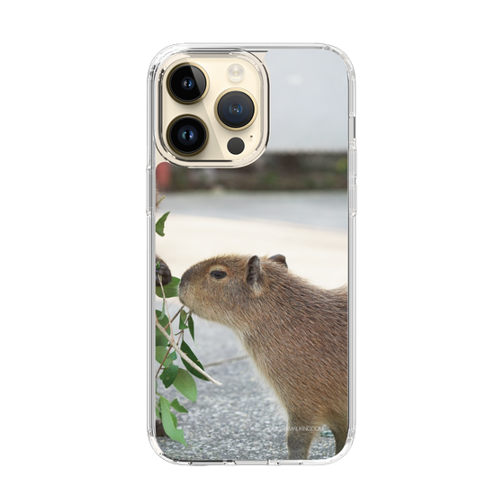 Slim Protection Case［ The Izu Animal Kingdom - Capybara ］