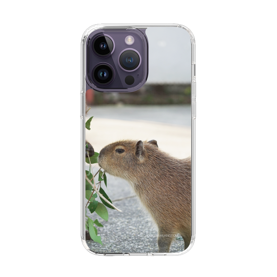 Slim Protection Case［ The Izu Animal Kingdom - Capybara ］