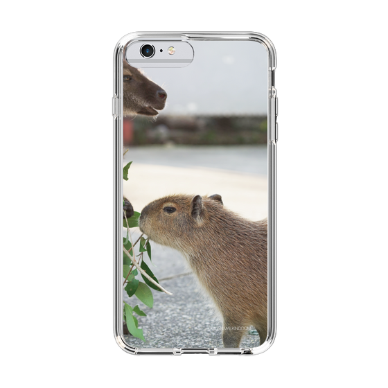 Slim Protection Case［ The Izu Animal Kingdom - Capybara ］