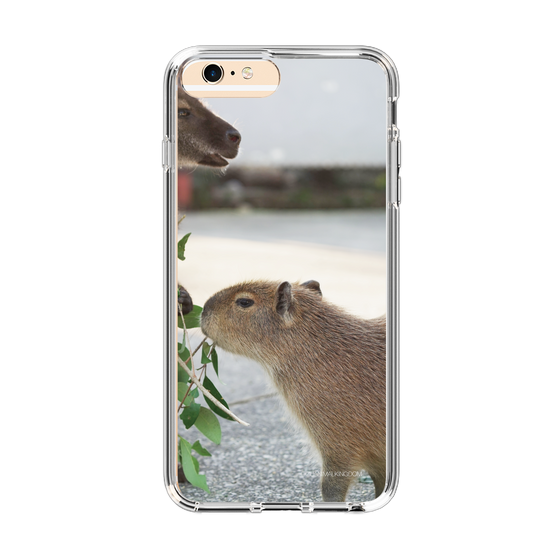 Slim Protection Case［ The Izu Animal Kingdom - Capybara ］