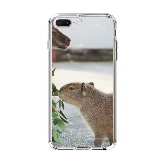 Slim Protection Case［ The Izu Animal Kingdom - Capybara ］