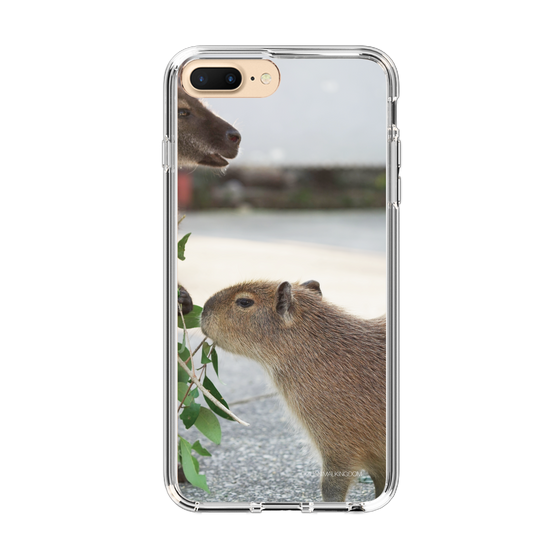 Slim Protection Case［ The Izu Animal Kingdom - Capybara ］