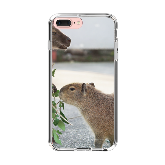 Slim Protection Case［ The Izu Animal Kingdom - Capybara ］