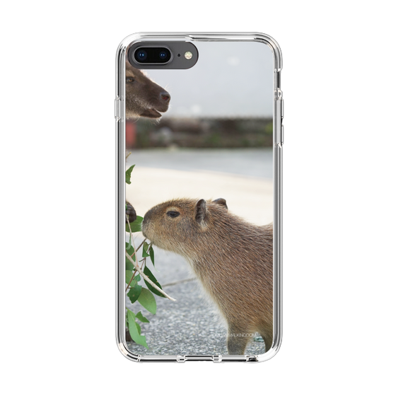 Slim Protection Case［ The Izu Animal Kingdom - Capybara ］