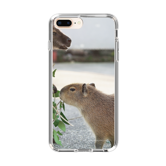 Slim Protection Case［ The Izu Animal Kingdom - Capybara ］