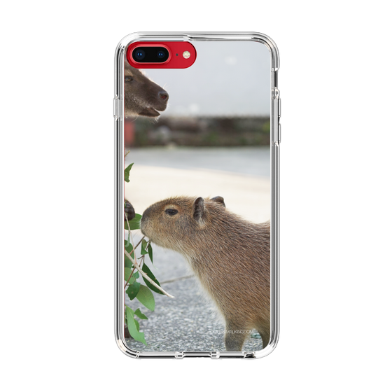 Slim Protection Case［ The Izu Animal Kingdom - Capybara ］
