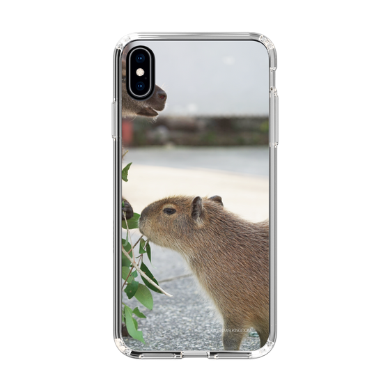 Slim Protection Case［ The Izu Animal Kingdom - Capybara ］