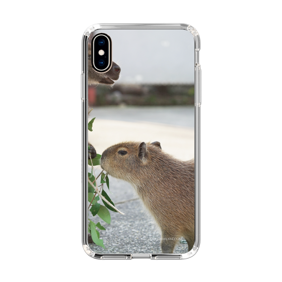 Slim Protection Case［ The Izu Animal Kingdom - Capybara ］