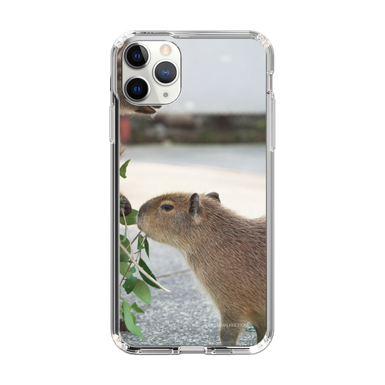 Slim Protection Case［ The Izu Animal Kingdom - Capybara ］