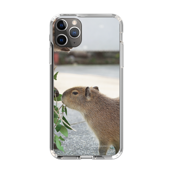 Slim Protection Case［ The Izu Animal Kingdom - Capybara ］