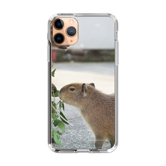 Slim Protection Case［ The Izu Animal Kingdom - Capybara ］