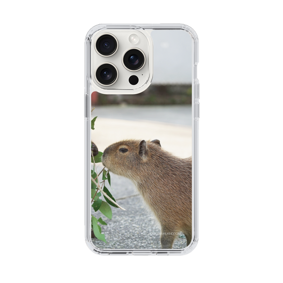 Slim Protection Case［ The Izu Animal Kingdom - Capybara ］