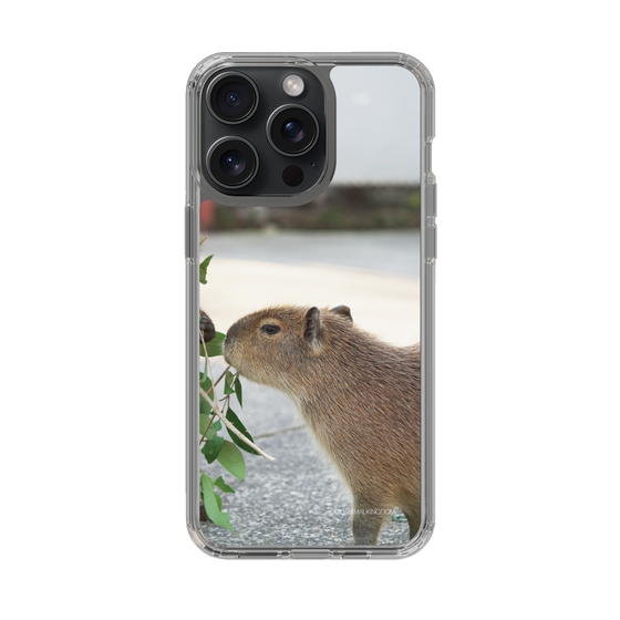 Slim Protection Case［ The Izu Animal Kingdom - Capybara ］
