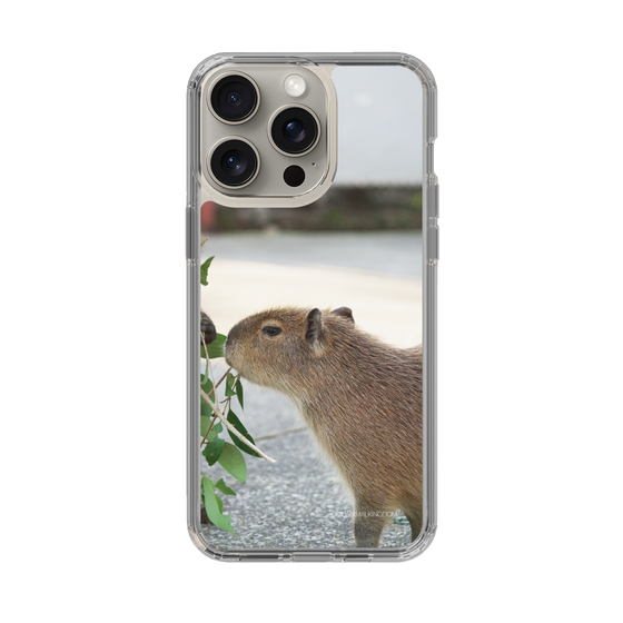 Slim Protection Case［ The Izu Animal Kingdom - Capybara ］