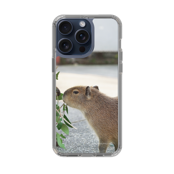 Slim Protection Case［ The Izu Animal Kingdom - Capybara ］