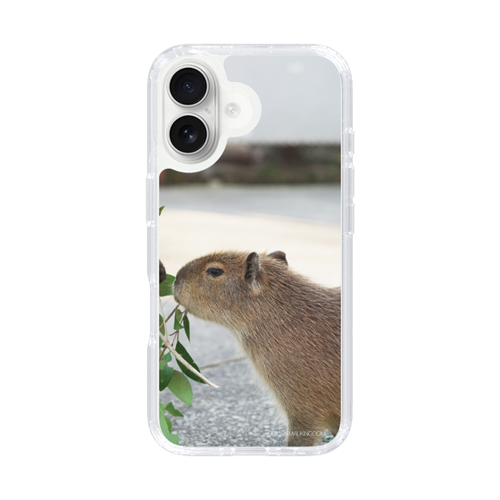Slim Protection Case［ The Izu Animal Kingdom - Capybara ］