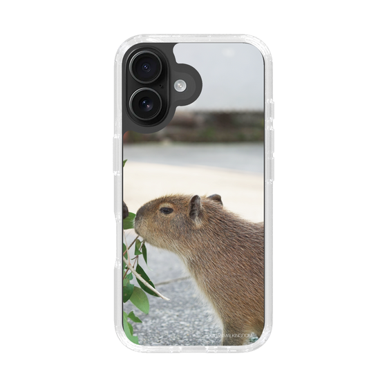 Slim Protection Case［ The Izu Animal Kingdom - Capybara ］