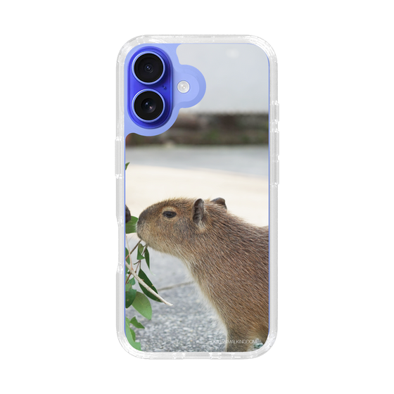 Slim Protection Case［ The Izu Animal Kingdom - Capybara ］