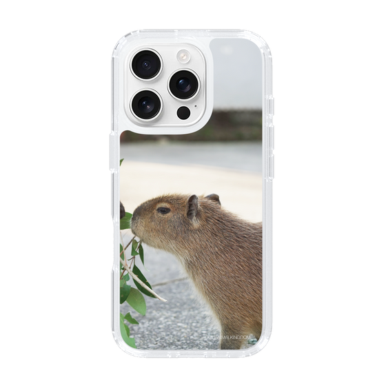 Slim Protection Case［ The Izu Animal Kingdom - Capybara ］