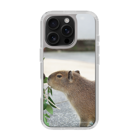 Slim Protection Case［ The Izu Animal Kingdom - Capybara ］
