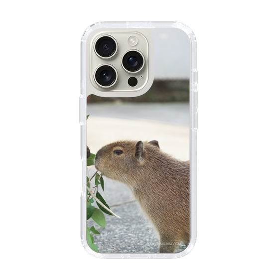 Slim Protection Case［ The Izu Animal Kingdom - Capybara ］