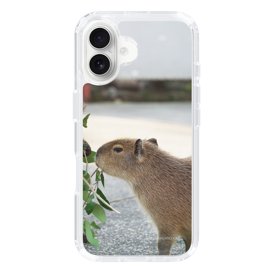 Slim Protection Case［ The Izu Animal Kingdom - Capybara ］