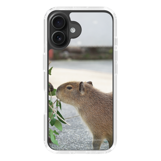 Slim Protection Case［ The Izu Animal Kingdom - Capybara ］
