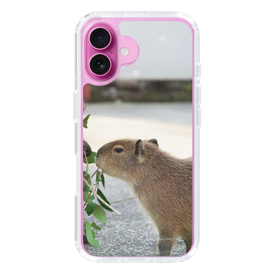 Slim Protection Case［ The Izu Animal Kingdom - Capybara ］