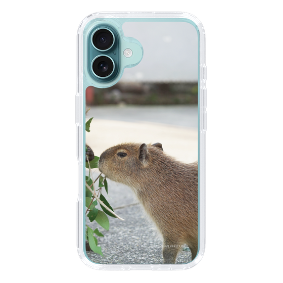 Slim Protection Case［ The Izu Animal Kingdom - Capybara ］