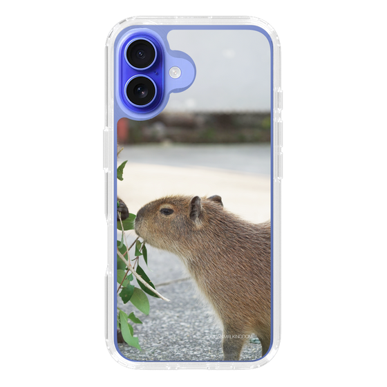 Slim Protection Case［ The Izu Animal Kingdom - Capybara ］