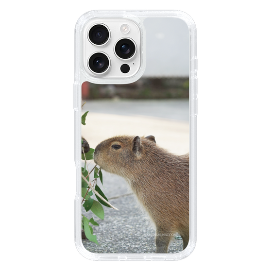 Slim Protection Case［ The Izu Animal Kingdom - Capybara ］