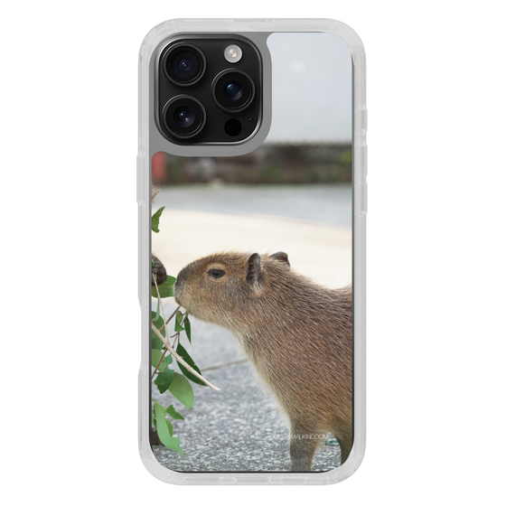 Slim Protection Case［ The Izu Animal Kingdom - Capybara ］