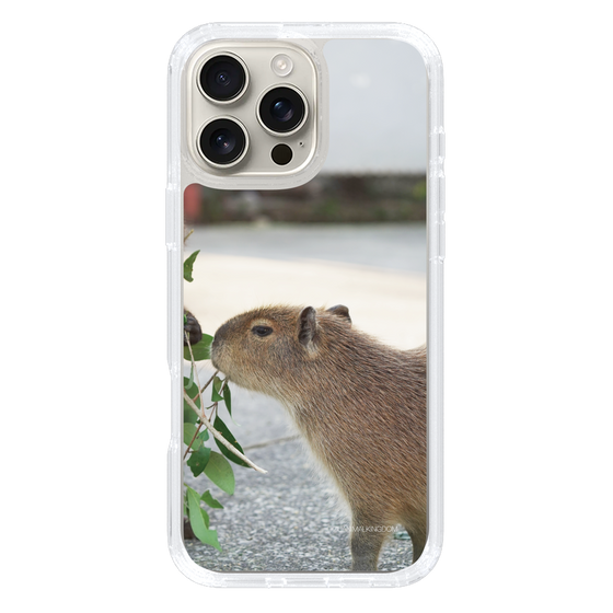Slim Protection Case［ The Izu Animal Kingdom - Capybara ］