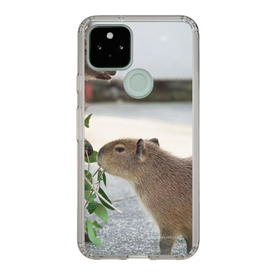 Slim Protection Case［ The Izu Animal Kingdom - Capybara ］