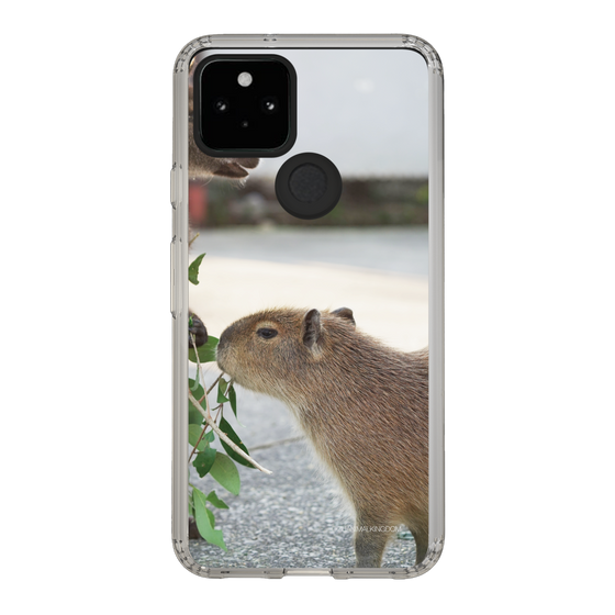 Slim Protection Case［ The Izu Animal Kingdom - Capybara ］