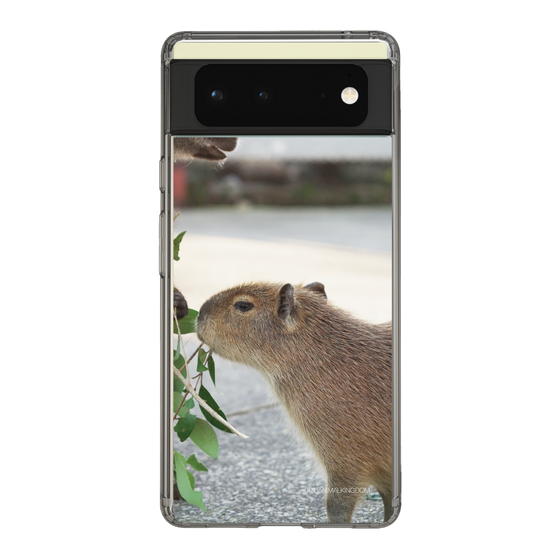 Slim Protection Case［ The Izu Animal Kingdom - Capybara ］