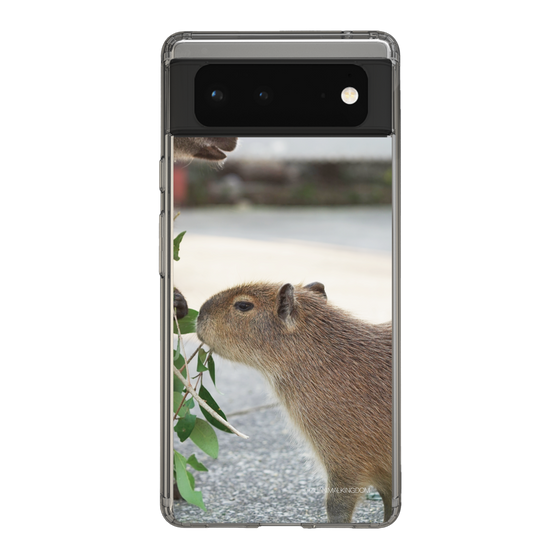 Slim Protection Case［ The Izu Animal Kingdom - Capybara ］