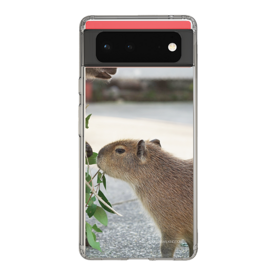 Slim Protection Case［ The Izu Animal Kingdom - Capybara ］