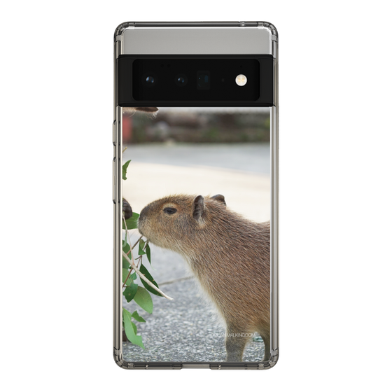 Slim Protection Case［ The Izu Animal Kingdom - Capybara ］