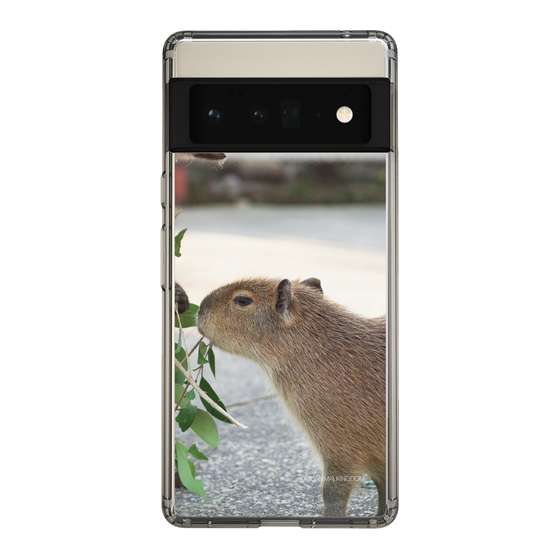 Slim Protection Case［ The Izu Animal Kingdom - Capybara ］