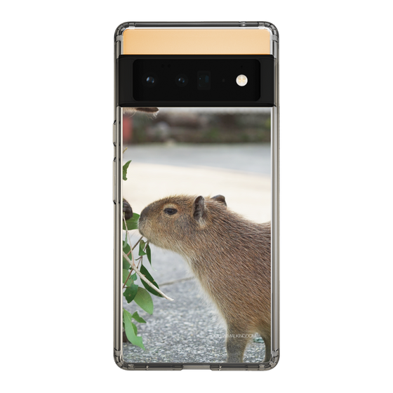 Slim Protection Case［ The Izu Animal Kingdom - Capybara ］