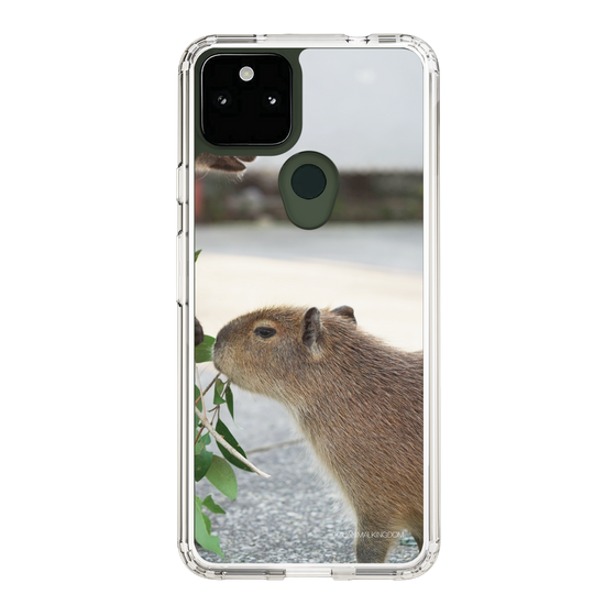 Slim Protection Case［ The Izu Animal Kingdom - Capybara ］